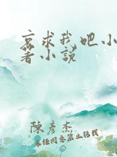 哀求我吧小说原著小说