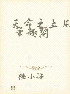 天命之上 风月 笔趣阁