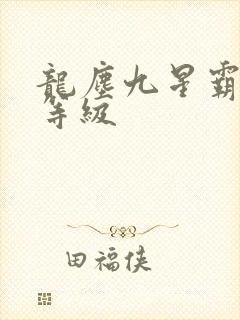 龙尘九星霸体诀等级