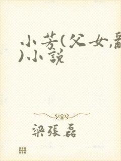 小芳(父女,乱)小说