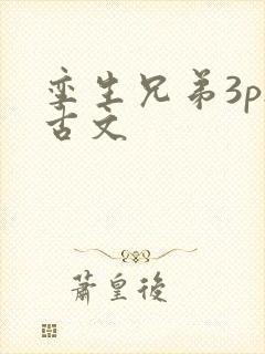 孪生兄弟3ph古文