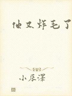 他又炸毛了