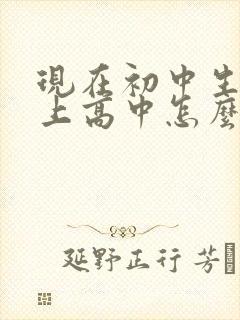 现在初中生没考上高中怎么办