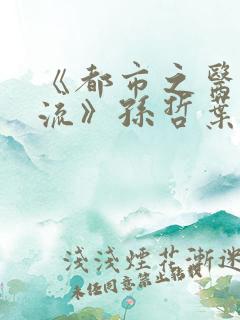 《都市之医武风流》孙哲叶巧朱颜