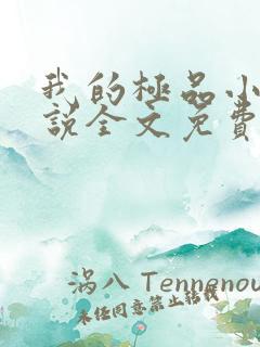 我的极品小姨小说全文免费看