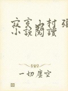 寂寞山村 张瑶小说阅读