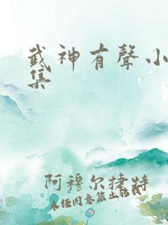 武神有声小说全集