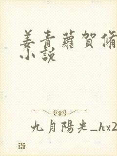 姜青萝贺修竹的小说