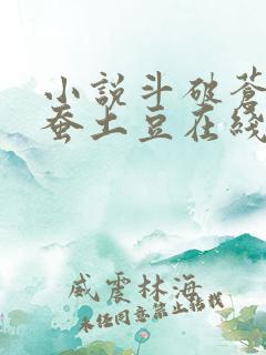 小说斗破苍穹天蚕土豆在线阅读