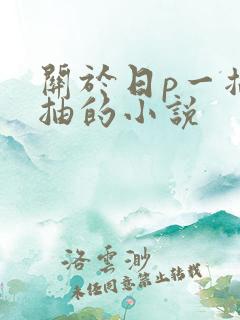 关于日p一插一抽的小说
