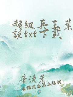 超级兵王叶谦小说txt下载
