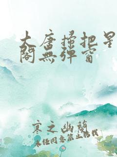 大唐扫把星笔趣阁无弹窗