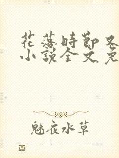 花落时节又逢君小说全文免费阅读