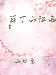 薛丁山征西txt
