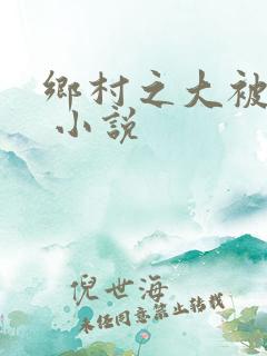 乡村之大被同眠 小说