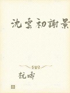 沈云初谢景宸