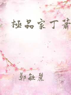 极品家丁萧夫人