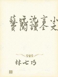 苏晚沈言小说免费阅读全文无弹窗