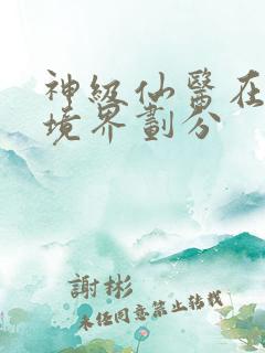 神级仙医在都市境界划分