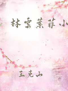 林云叶菲小说