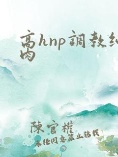 高hnp调教纯肉