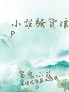 小说骚货浪荡np