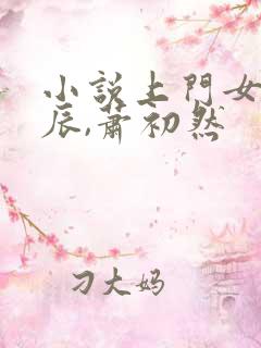 小说上门女婿叶辰,萧初然