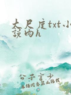 大尺度txt小说肉h