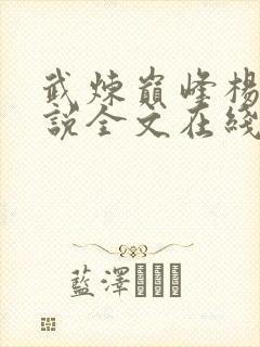 武炼巅峰杨开小说全文在线阅读