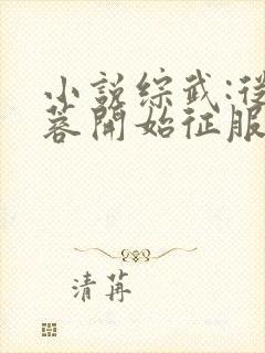 小说综武:从黄蓉开始征服