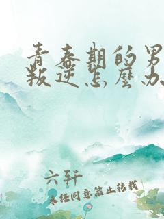 青春期的男孩子叛逆怎么办