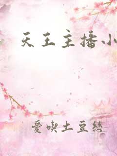 天王主播小说