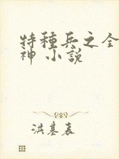 特种兵之全能战神 小说