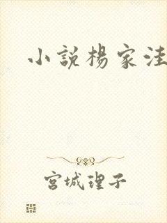 小说杨家洼情事
