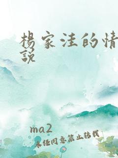 杨家洼的情事小说