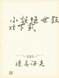 小说绝世狂龙txt下载