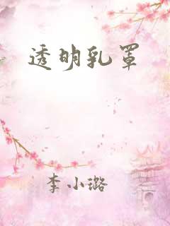 透明乳罩