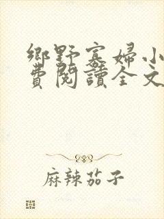 乡野寡妇小说免费阅读全文