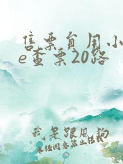 售票员用小xue查票20路