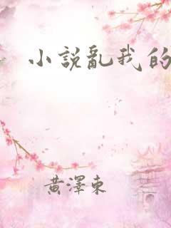 小说乱我的岳母