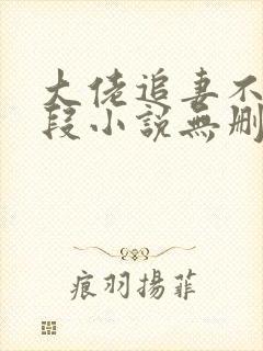 大佬追妻不择手段小说无删减正版在线阅读