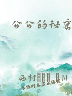 公公的秘密情事