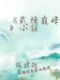 《武炼巅峰杨开》小说