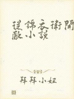从锦衣卫开始无敌小说