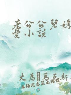老公公儿媳妇爱爱小说
