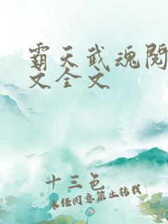 霸天武魂阅读全文全文