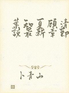 叶知夏顾清淮小说最新章节免费阅读