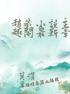 赵藏小说主角笔趣阁最新章节更新
