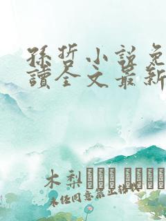 孙哲小说免费阅读全文最新章节