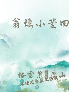 翁熄小莹回乡下